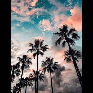 Meet your Posher, Satine